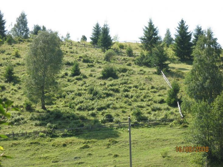 Ялинкувате з panoramio.com - Ялынковатое