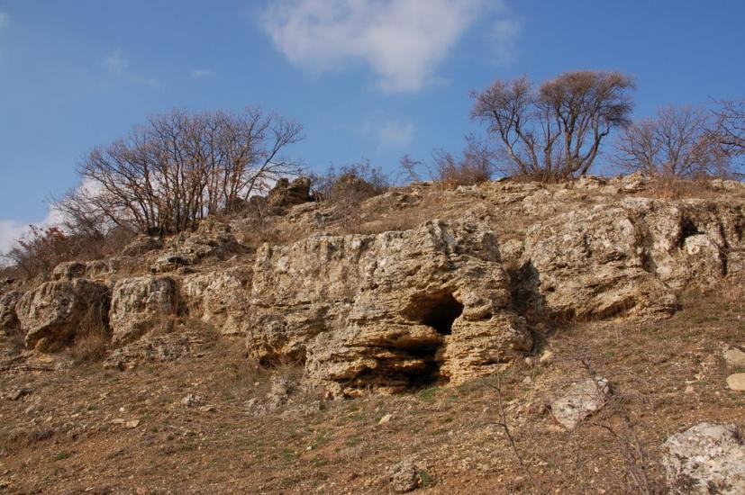 Рєпіне з panoramio.com - Рєпіне