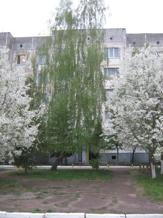 Баришівка з panoramio.com - Барышевка