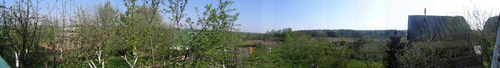Тарасенки з panoramio.com - Тарасенки