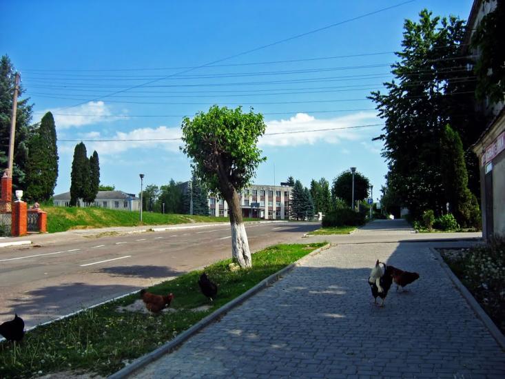 Ланівці з panoramio.com - Lanivtsi