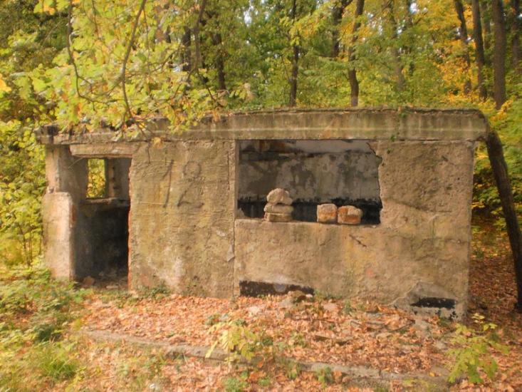 Введенка з panoramio.com - Введенка