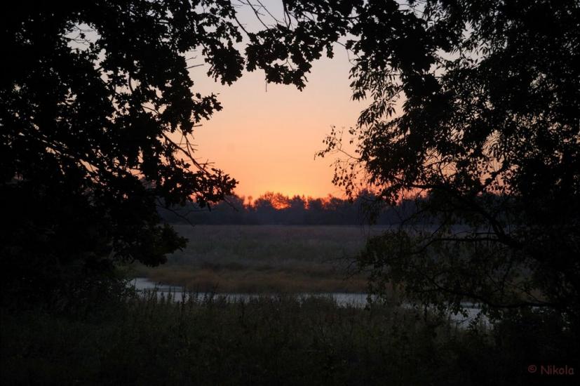 Нижнє з panoramio.com - Nyzhnye