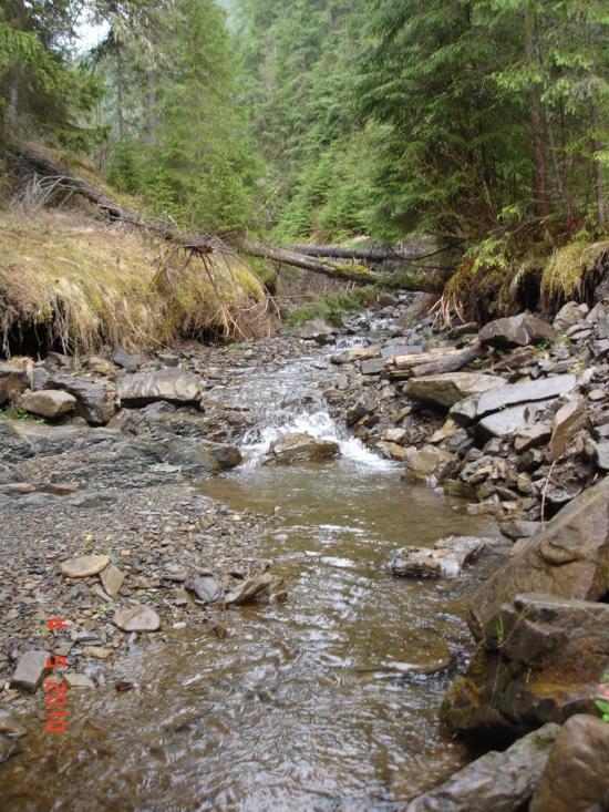 Верхній Яловець з panoramio.com - Верхний Яловец