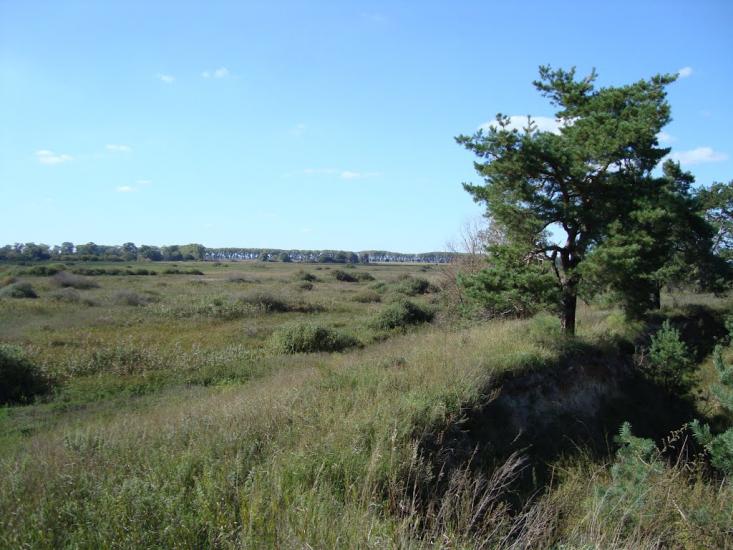 Русанів з panoramio.com - Русанов