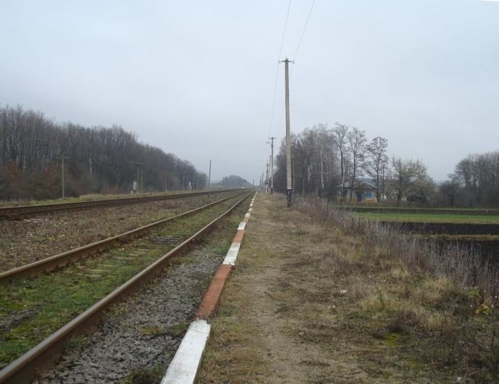 Воронківці з panoramio.com - Воронківці