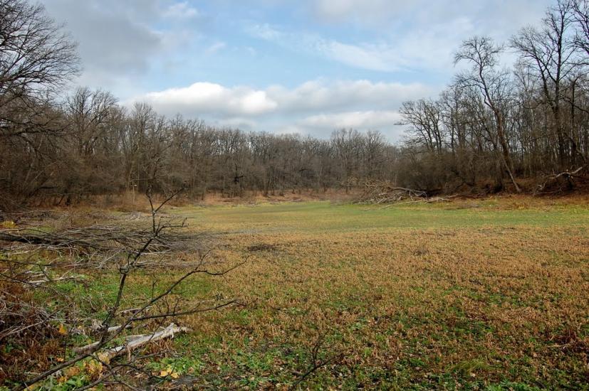 Шипилівка з panoramio.com - Shypylivka