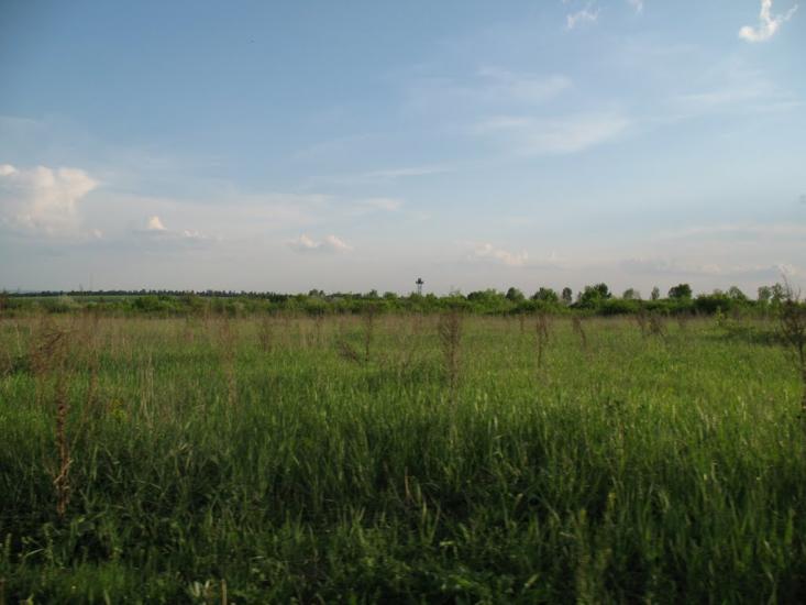 Грабарівка з panoramio.com - Грабарівка