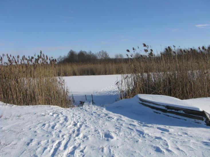 Білопілля з panoramio.com - Белополье