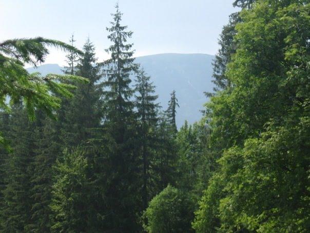 Бистрець з panoramio.com - Быстрец