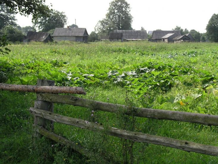 Бережниця з panoramio.com - Бережниця