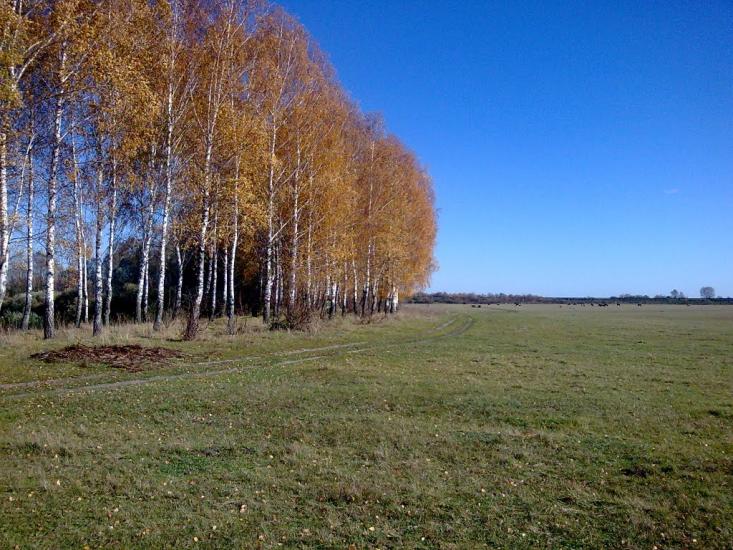 Новомутин з panoramio.com - Novomutyn