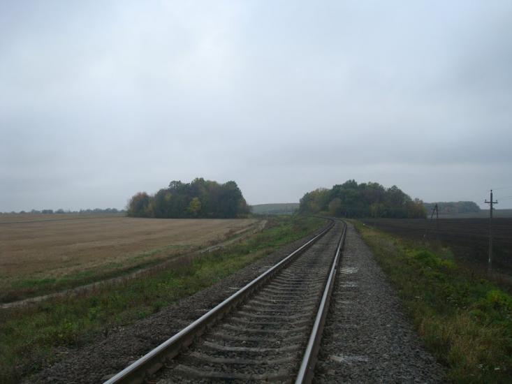 Буйволівці з panoramio.com - Буйволовцы