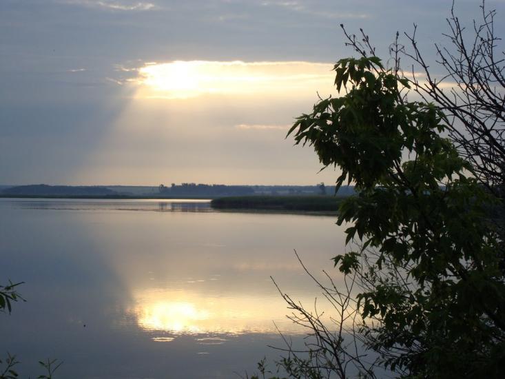Піски-Радьківські з panoramio.com - Pisky-Radkivski