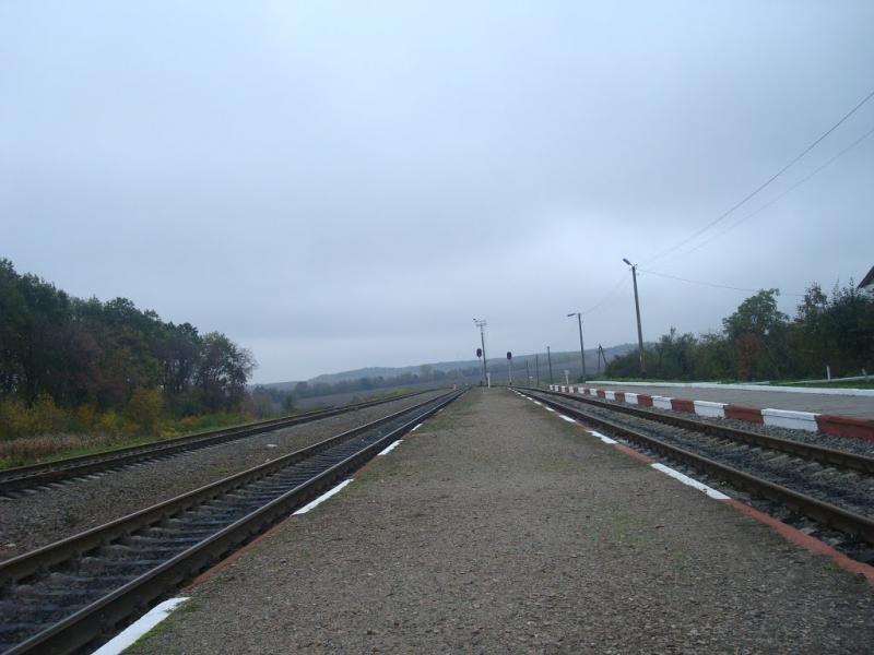 Буйволівці з panoramio.com - Буйволівці