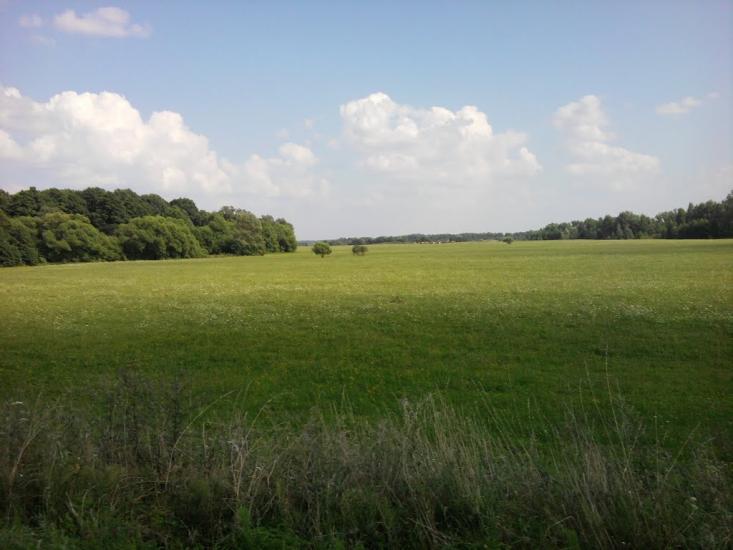 Малинівка з panoramio.com - Малиновка