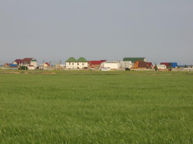 Степанівка Перша з panoramio.com - Степанівка Перша