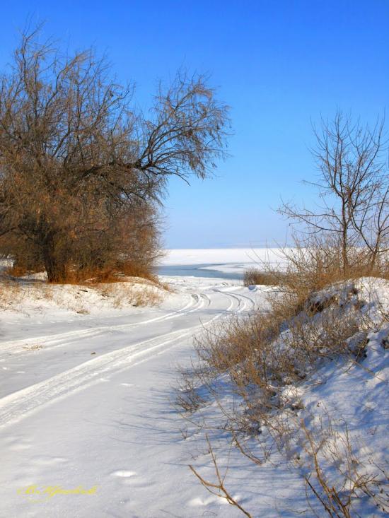Шабо з panoramio.com - Shabo