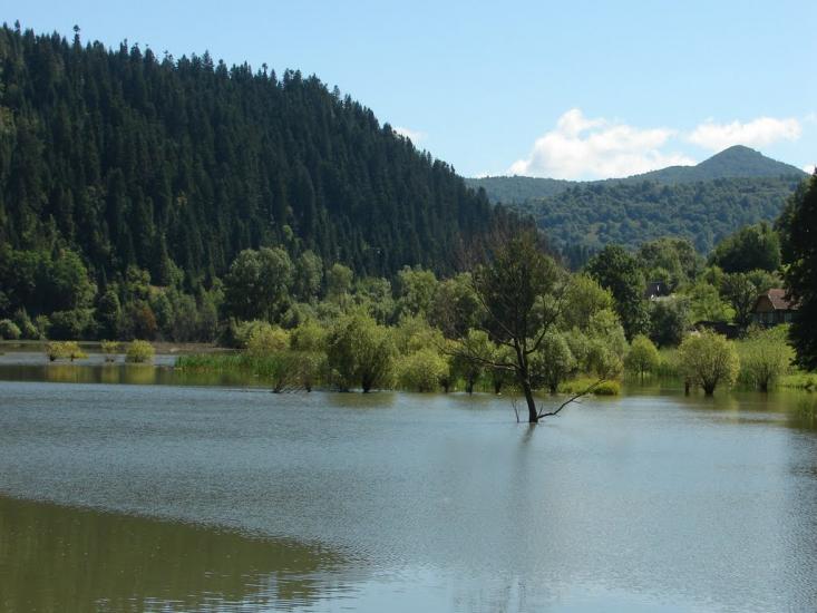 Явора з panoramio.com - Явора