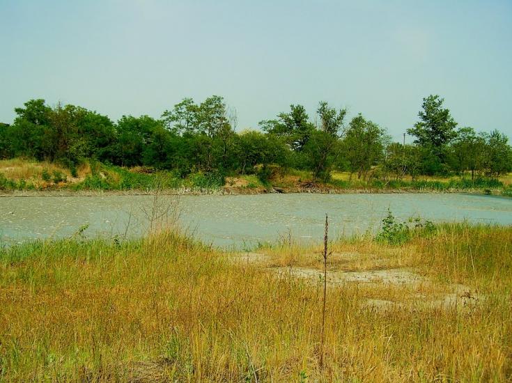 Пекарі з panoramio.com - Пекари