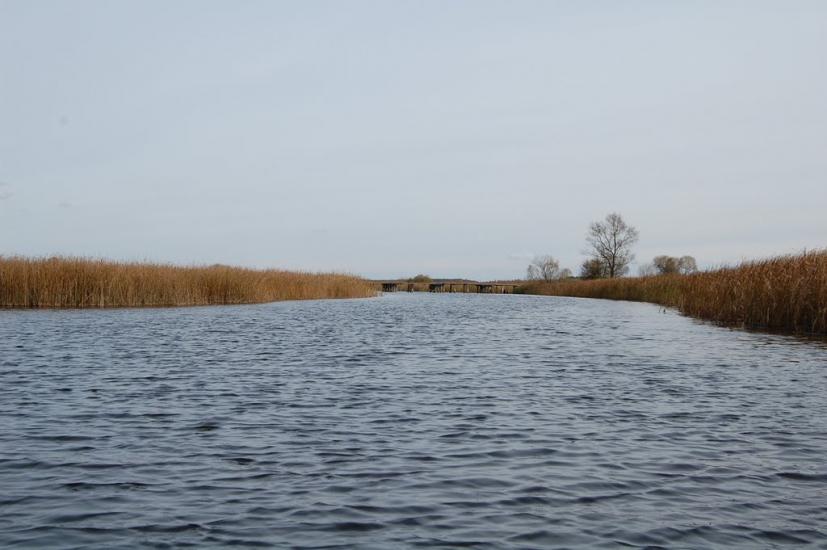 Хабарище з panoramio.com - Хабарище