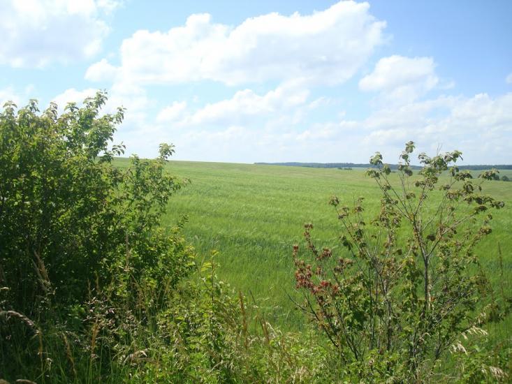 Малиничі з panoramio.com - Малиничі