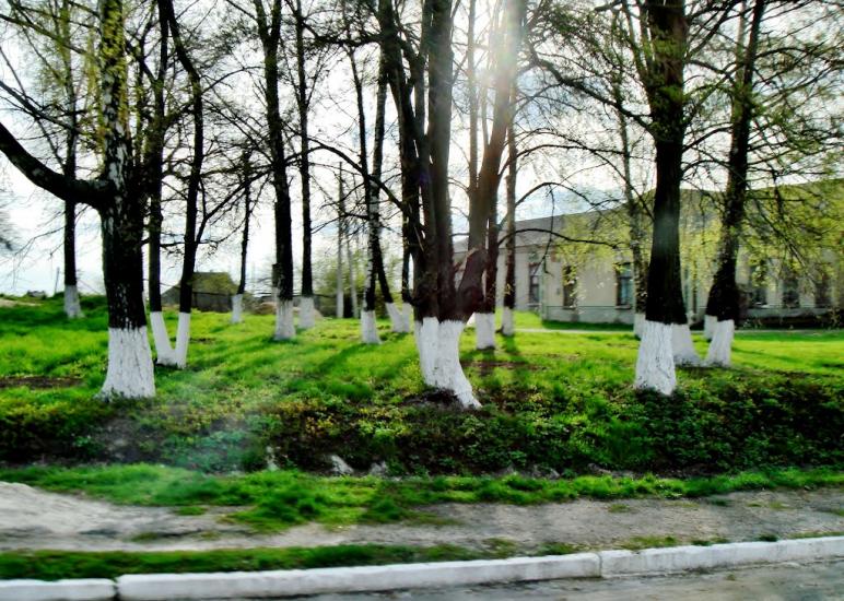 Лук'янівка з panoramio.com - Лук'янівка