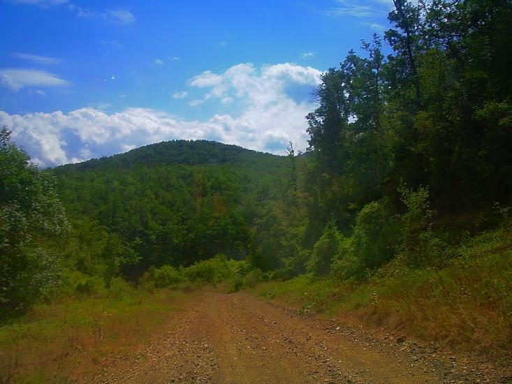 Щасливе з panoramio.com - Schaslyve