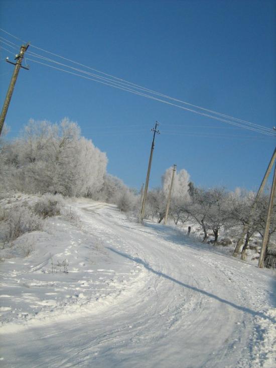 Саранчуки з panoramio.com - Саранчуки