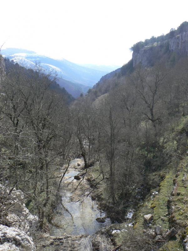 Колхозне з panoramio.com - Колхозное