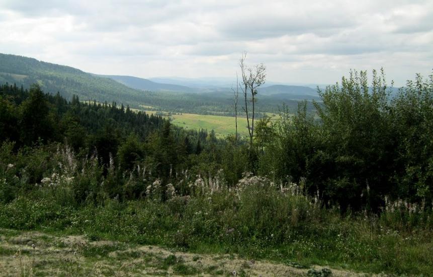 Погар з panoramio.com - Погар