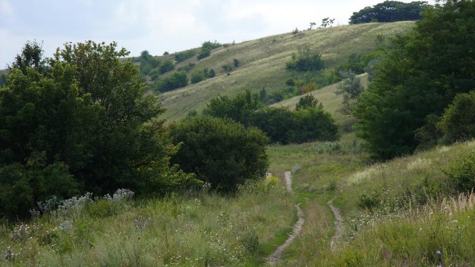 Юрки з panoramio.com - Юрки