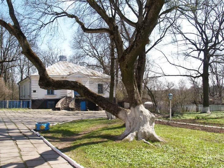 Верхівня з panoramio.com - Верхівня