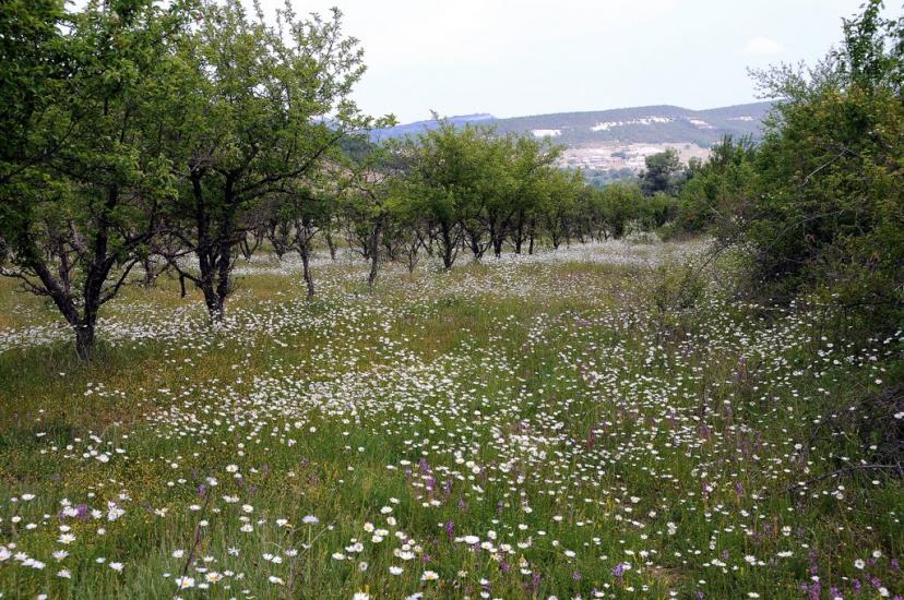 Прохладне з panoramio.com - Прохладное