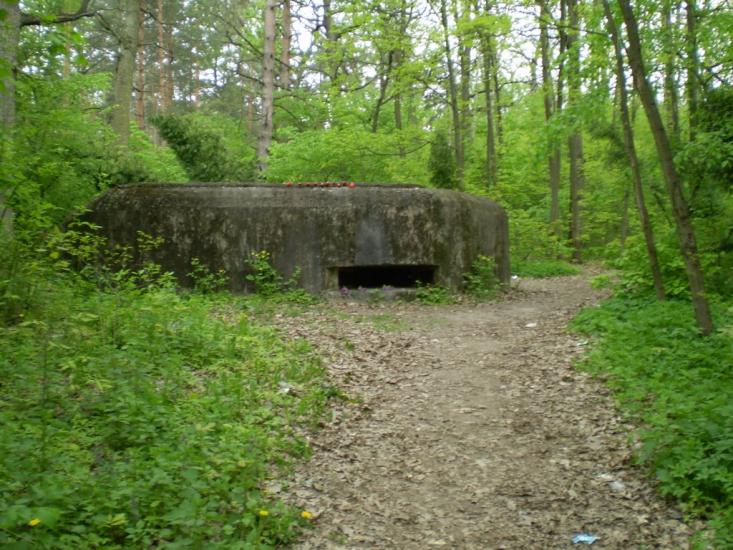 Віта-Поштова з panoramio.com - Вита-Почтовая