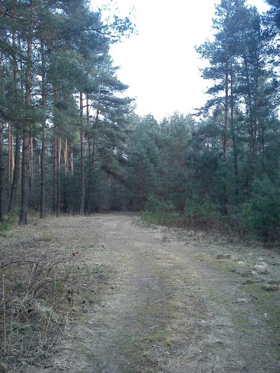 Арламівська Воля з panoramio.com - Арламівська Воля