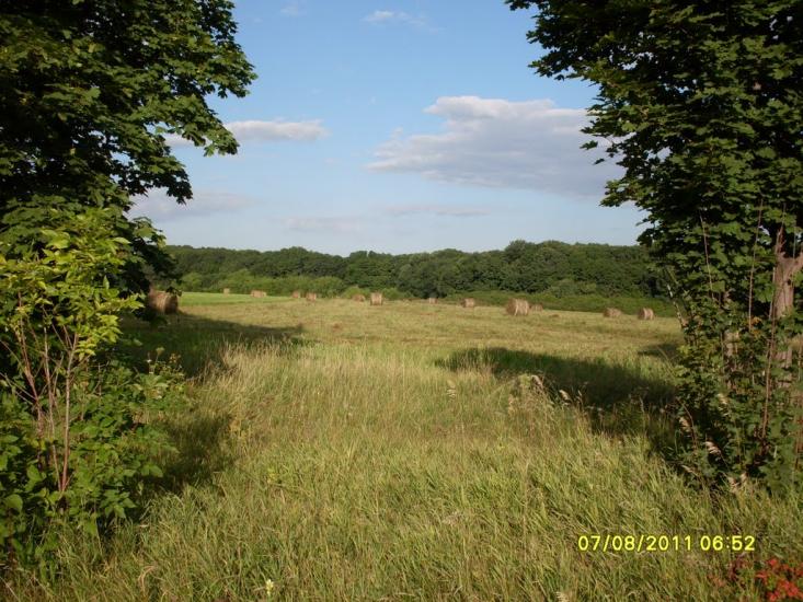 Лікарівка з panoramio.com - Likarivka