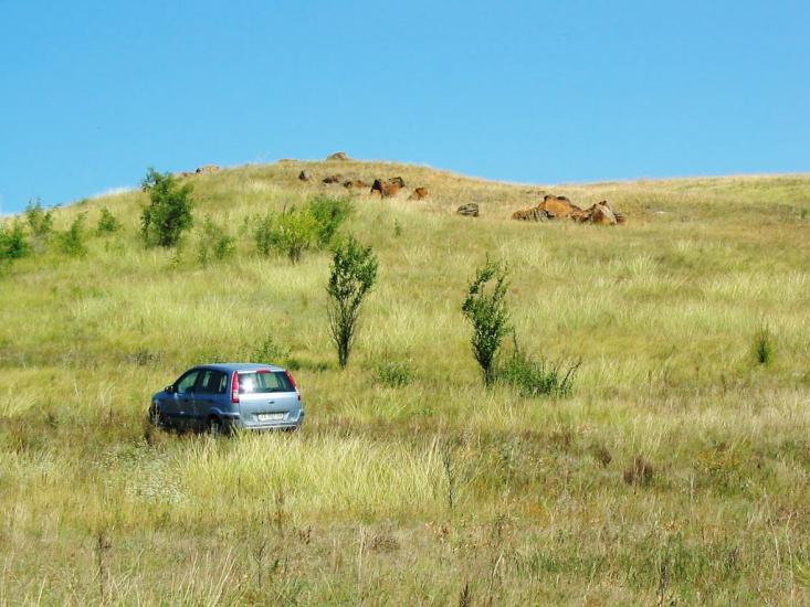 Першомар'ївка з panoramio.com - Першомарьевка