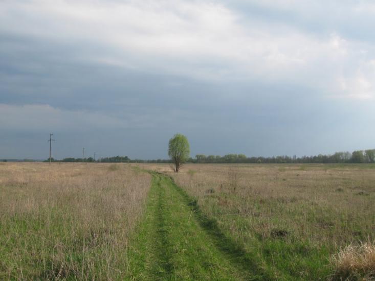 Ясногородка з panoramio.com - Ясногородка