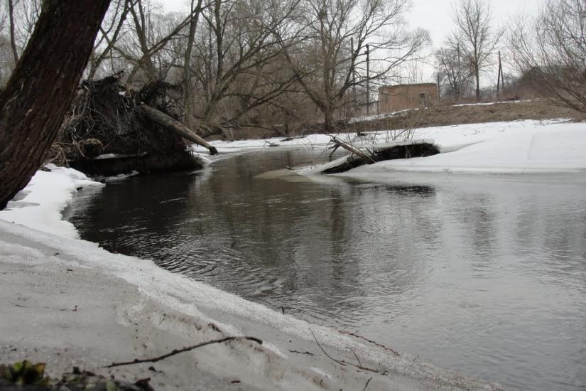 Сокиричі з panoramio.com - Сокиричі