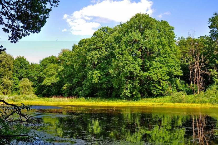 Шипилівка з panoramio.com - Shypylivka
