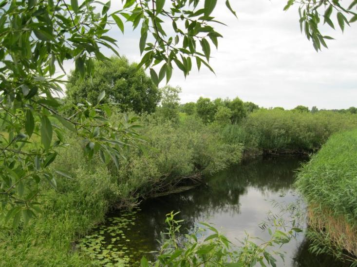 Хотешів з panoramio.com - Хотешов