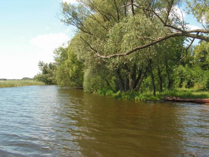 Шацьк з panoramio.com - Шацк