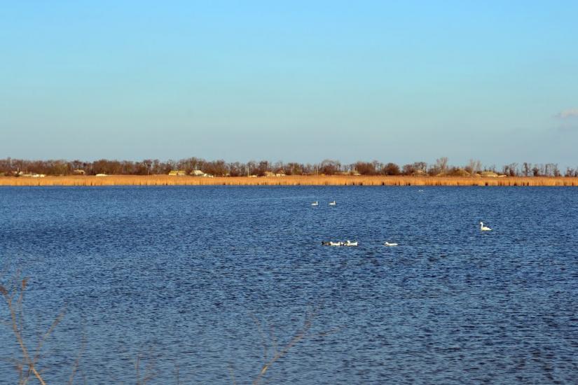Дарівка з panoramio.com - Даровка