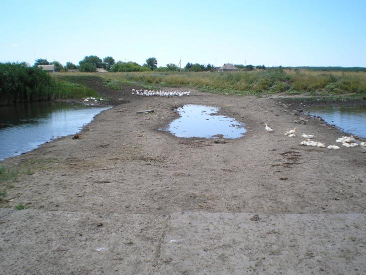 Кам'янка з panoramio.com - Камянка