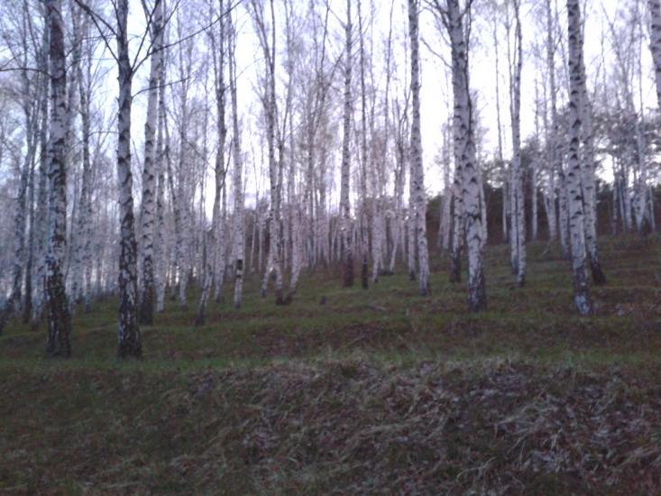 Пересічна з panoramio.com - Пересечная