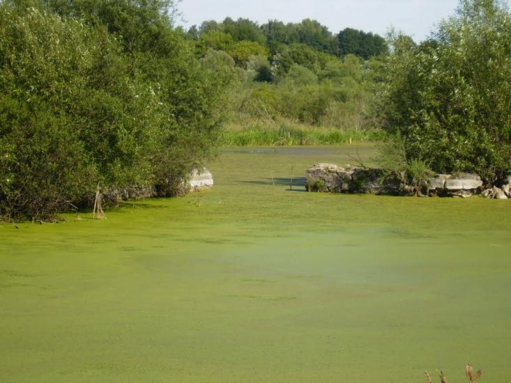 Мала Лука з panoramio.com - Малая Лука
