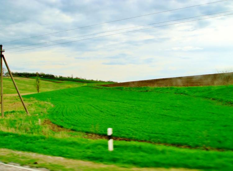 Бране Поле з panoramio.com - Браное Поле