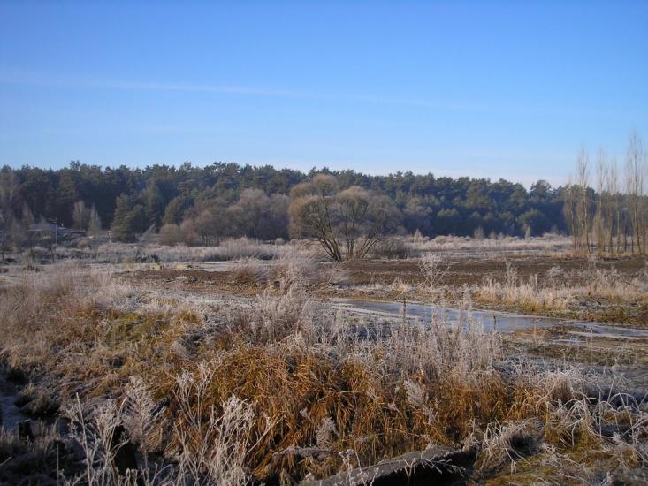 Малютянка з panoramio.com - Малютянка