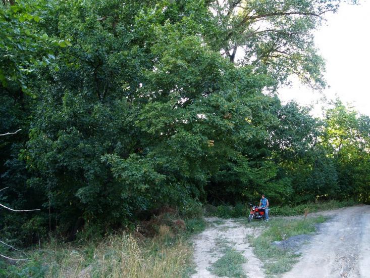 Комсомолець з panoramio.com - Комсомолец